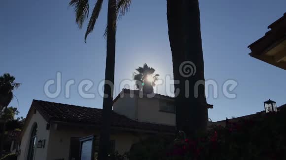 下午晚些时候阳光透过风景优美的4K酒店顶上摇曳的棕榈树的剪影闪烁视频的预览图