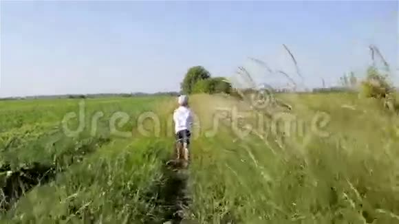 在草地上行走的男孩视频的预览图