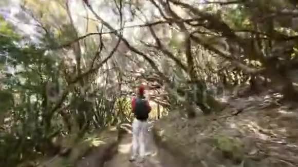 在雨林里奔跑的女人视频的预览图