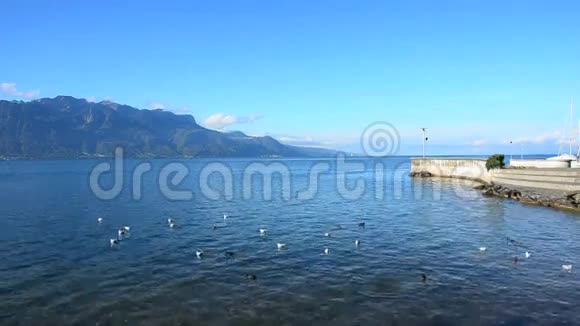 山和日内瓦湖视频的预览图