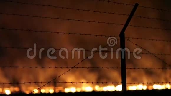 一片田野里的夜火视频的预览图