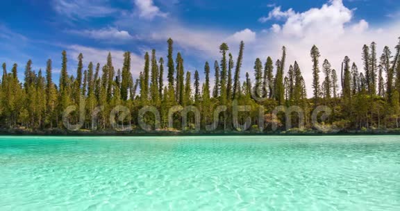 无缝环天然游泳池奥罗湾著名景点在松树岛新喀里多尼亚视频的预览图