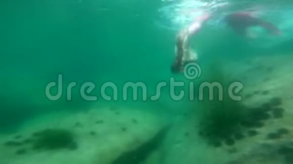 美人鱼在海上潜水视频的预览图