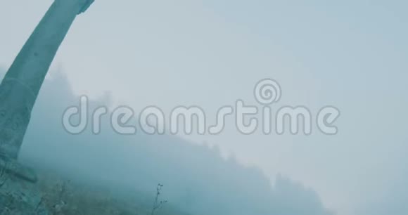在雾景中交叉视频的预览图