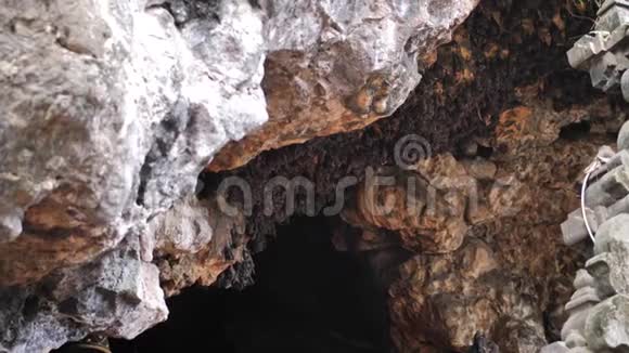 在巴厘岛的一个洞穴里视频的预览图