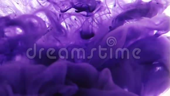 紫色墨水覆盖视频的预览图