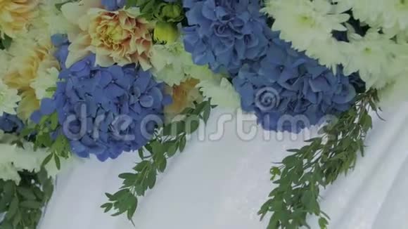 蓝色和白色的花卉视频的预览图