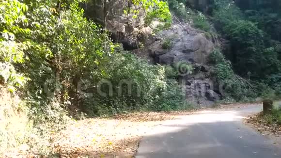弯曲的道路穿过森林视频的预览图