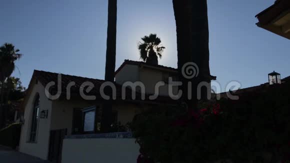 下午晚些时候阳光透过风景优美的4K酒店顶上摇曳的棕榈树的剪影闪烁视频的预览图