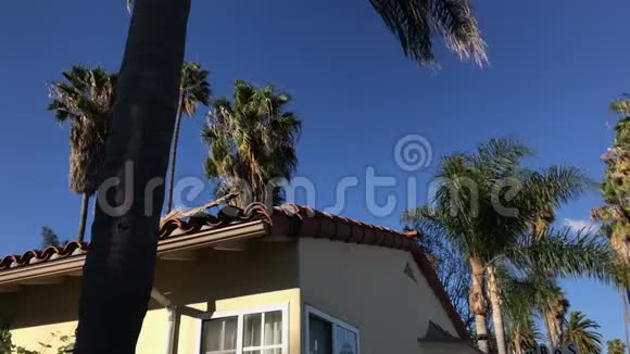 各种棕榈树在风景优美的圣巴巴拉酒店4K顶迎风移动视频的预览图