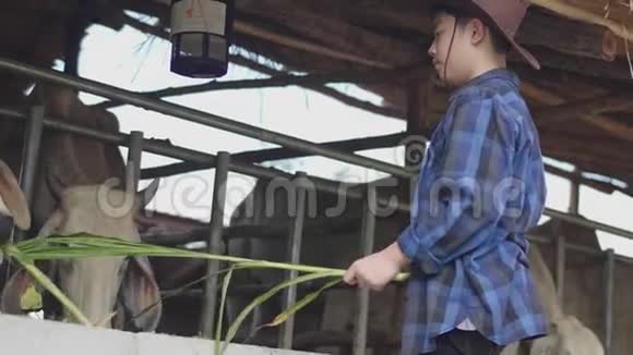 在农场工作的亚洲男孩视频的预览图