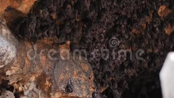 在巴厘岛的一个洞穴里视频的预览图
