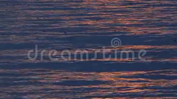 粉红色的日落在海上平静在海上视频的预览图