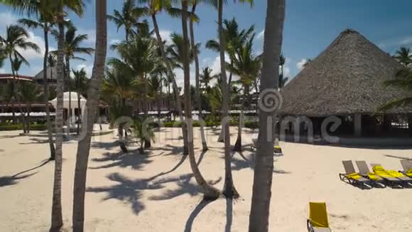棕榈树太阳椅白沙蓬塔卡纳海滩上的游泳池豪华度假胜地视频的预览图