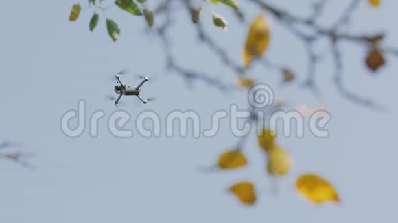 无人机在树附近飞行视频的预览图