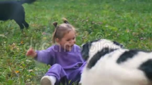 一个小女孩和狗玩视频的预览图