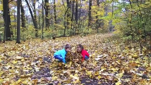 两个孩子在森林里玩树叶视频的预览图