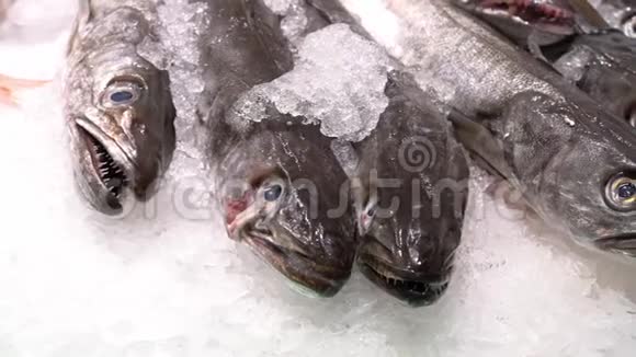 市场上有新鲜的鱼视频的预览图