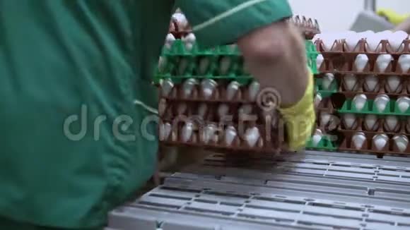 母鸡农场的工人视频的预览图