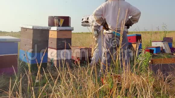 两个养蜂人养蜂人正在收获蜂蜜古董视频的预览图