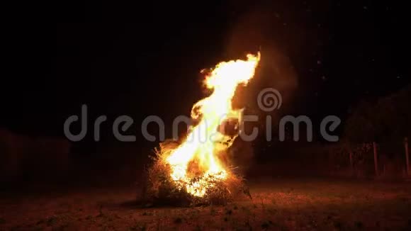火焰的柴火和舌头视频的预览图