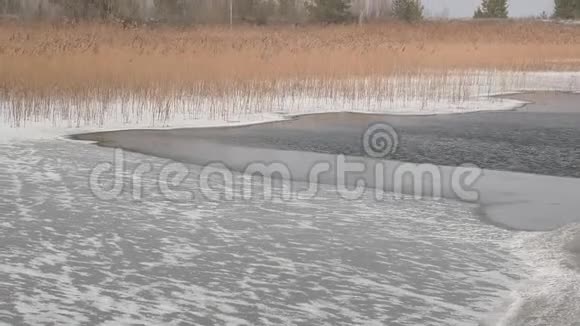 有干芦苇的冰冻湖视频的预览图