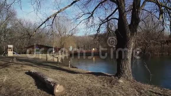 城市公园的湖景视频的预览图