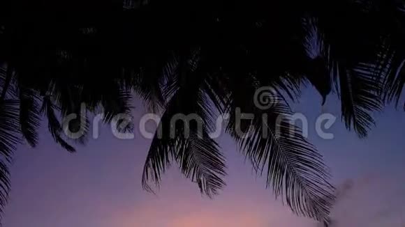 海滩上美丽的日落有棕榈树和船视频的预览图