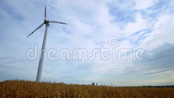 在田野中间的风车视频的预览图