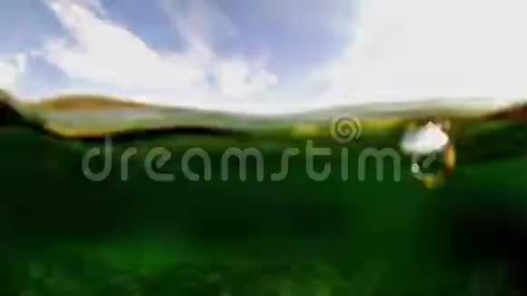 海滨的软盘水视频的预览图
