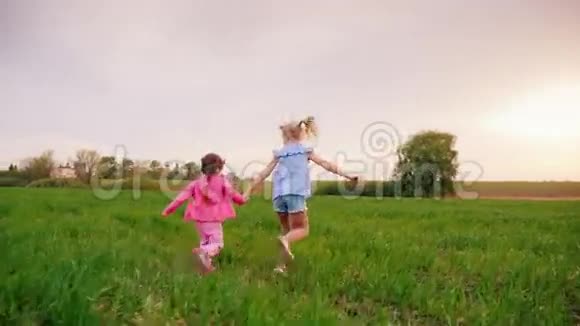 两个快乐无忧无虑的孩子牵手他们一起沿着绿色的草地奔跑玩得很开心视频的预览图