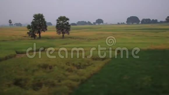 比哈尔邦的景观视频的预览图
