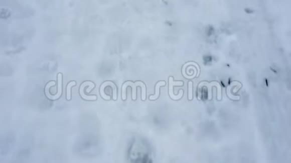 在雪地上行走视频的预览图