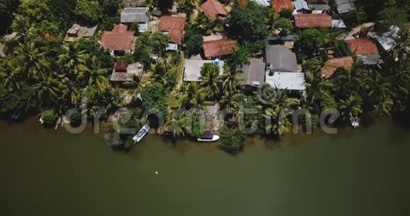 鸟瞰无人机下降在可爱的热带海岸度假酒店在丛林河岸与郁郁葱葱的绿棕榈树视频的预览图