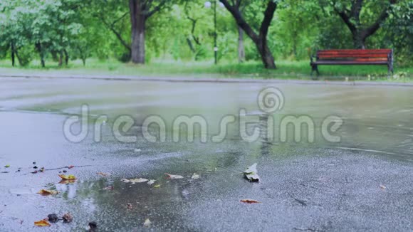 雨在绿色的街道上视频的预览图