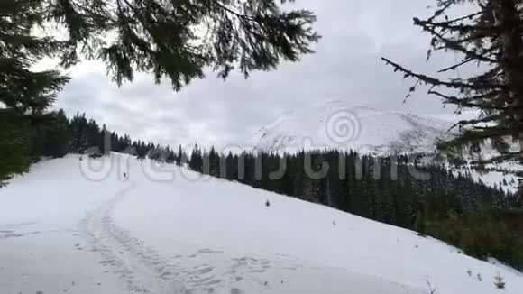 冬季彼得罗斯乌克兰视频的预览图