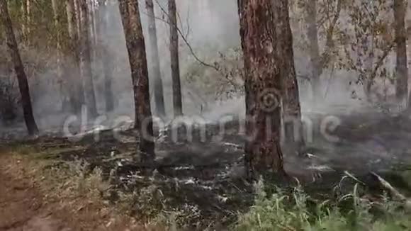 俄罗斯直升机发出的野火视频的预览图