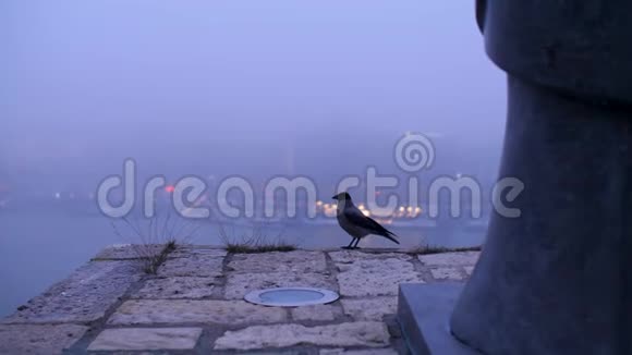 雾中链桥的景色视频的预览图