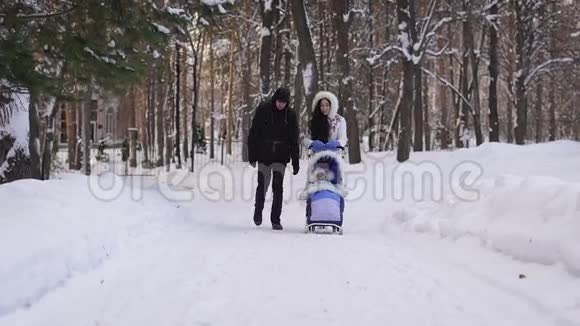 年轻漂亮的穿着衣服的父母走在白雪覆盖的公园里你的孩子坐在婴儿马车上滑雪视频的预览图