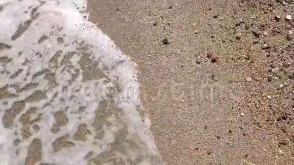 岸上的充气圈视频的预览图