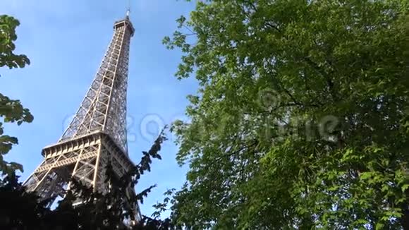 埃菲尔铁塔在树间视频的预览图