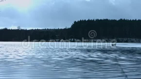 湖的冬季景观视频的预览图