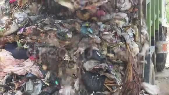 垃圾山的倾倒视频的预览图