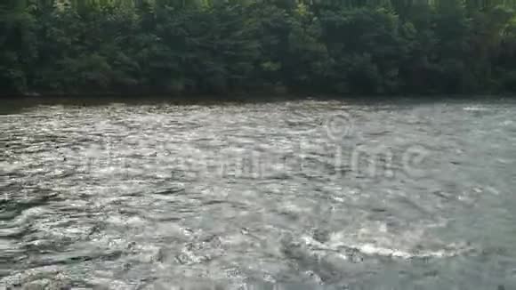 水流在河上视频的预览图
