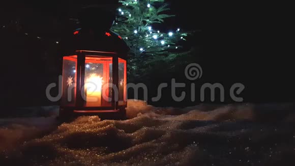 圣诞红彩灯与常青树紧紧相连视频的预览图