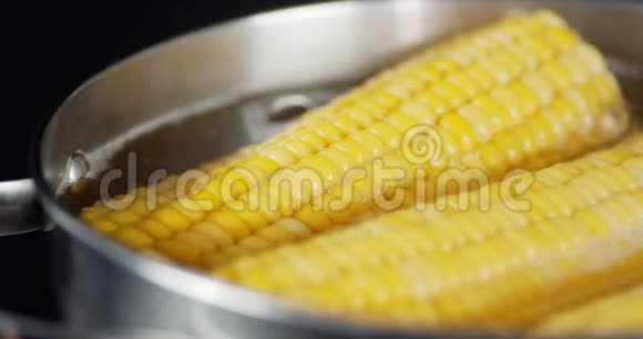 玉米在一锅水中沸腾视频的预览图