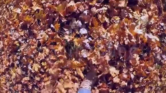 在阳光明媚的秋日走在地上的人倒了黄枯叶视频的预览图