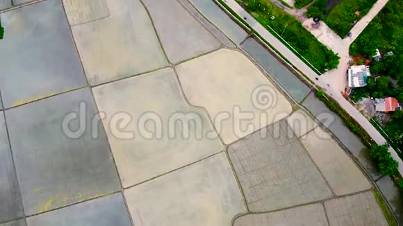 空中观景稻田和犁沟成排为春天种植庄稼做好了准备视频的预览图