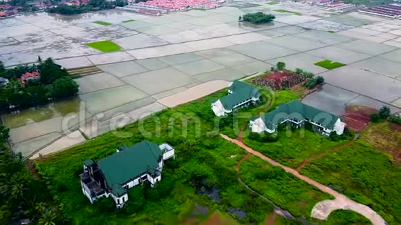 空中观景乡间的房屋和田野被绿树和稻田包围着视频的预览图