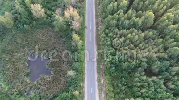 汽车路穿过森林视频的预览图